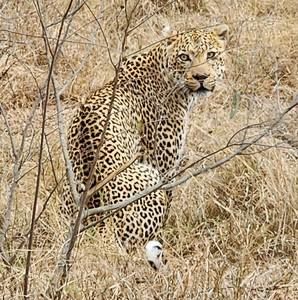 Meet your Posher, Ann